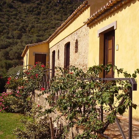 Azienda Agrituristica Biologica Il Querceto Санто-Северина Экстерьер фото