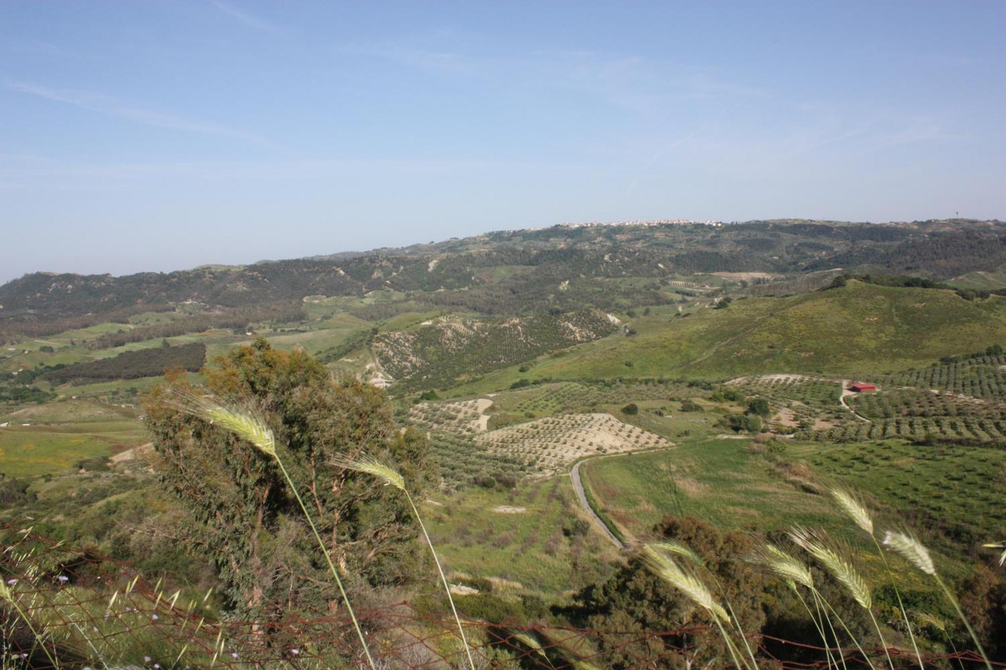 Azienda Agrituristica Biologica Il Querceto Санто-Северина Экстерьер фото