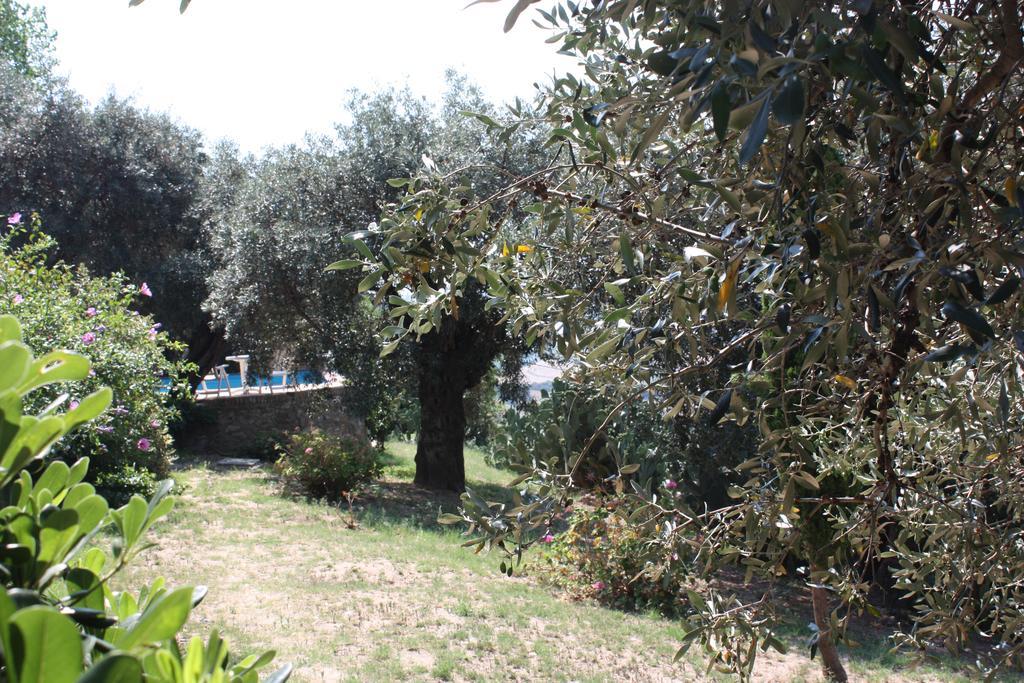Azienda Agrituristica Biologica Il Querceto Санто-Северина Экстерьер фото