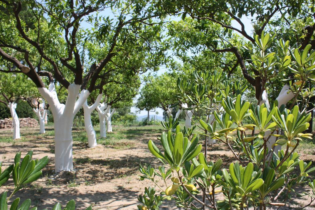 Azienda Agrituristica Biologica Il Querceto Санто-Северина Экстерьер фото