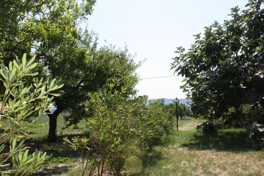 Azienda Agrituristica Biologica Il Querceto Санто-Северина Экстерьер фото