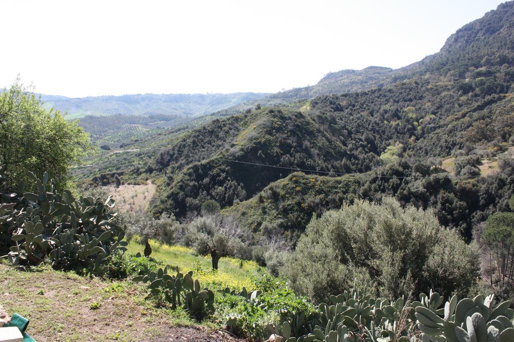 Azienda Agrituristica Biologica Il Querceto Санто-Северина Экстерьер фото