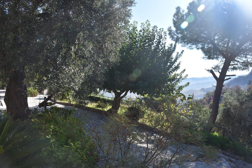 Azienda Agrituristica Biologica Il Querceto Санто-Северина Экстерьер фото
