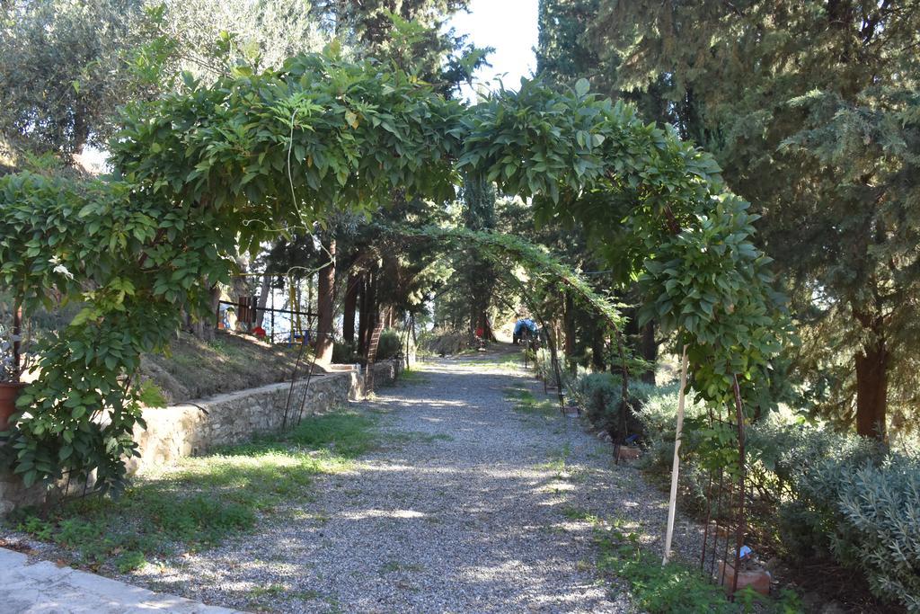 Azienda Agrituristica Biologica Il Querceto Санто-Северина Экстерьер фото