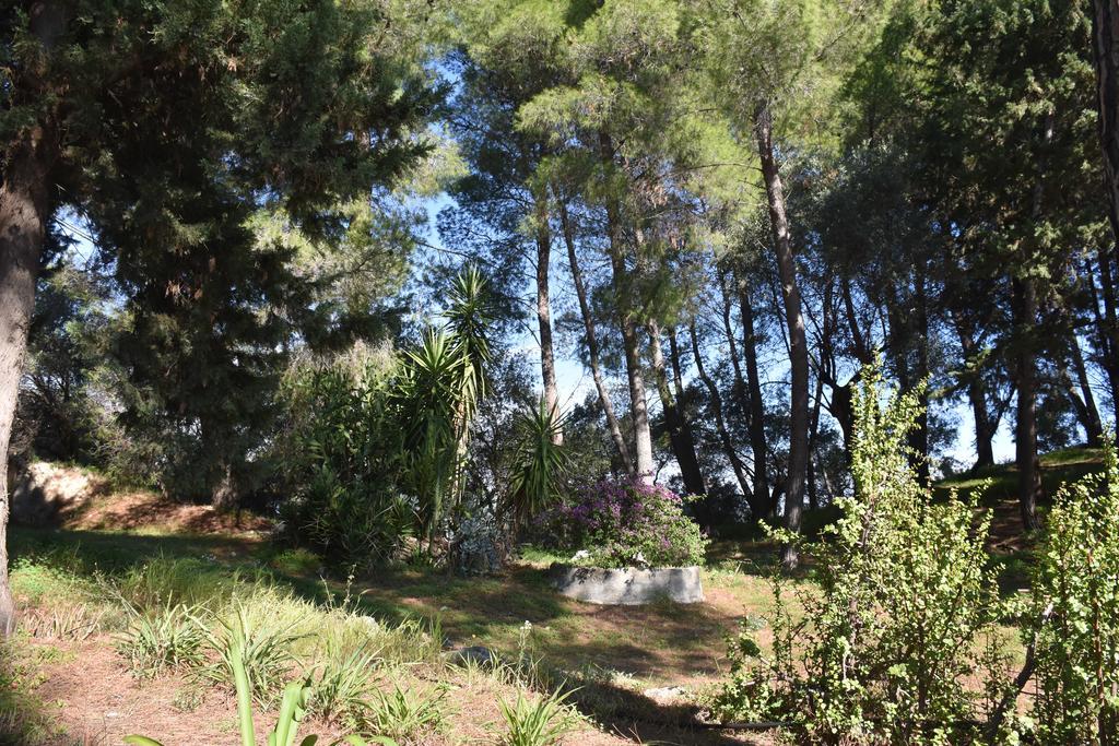 Azienda Agrituristica Biologica Il Querceto Санто-Северина Экстерьер фото